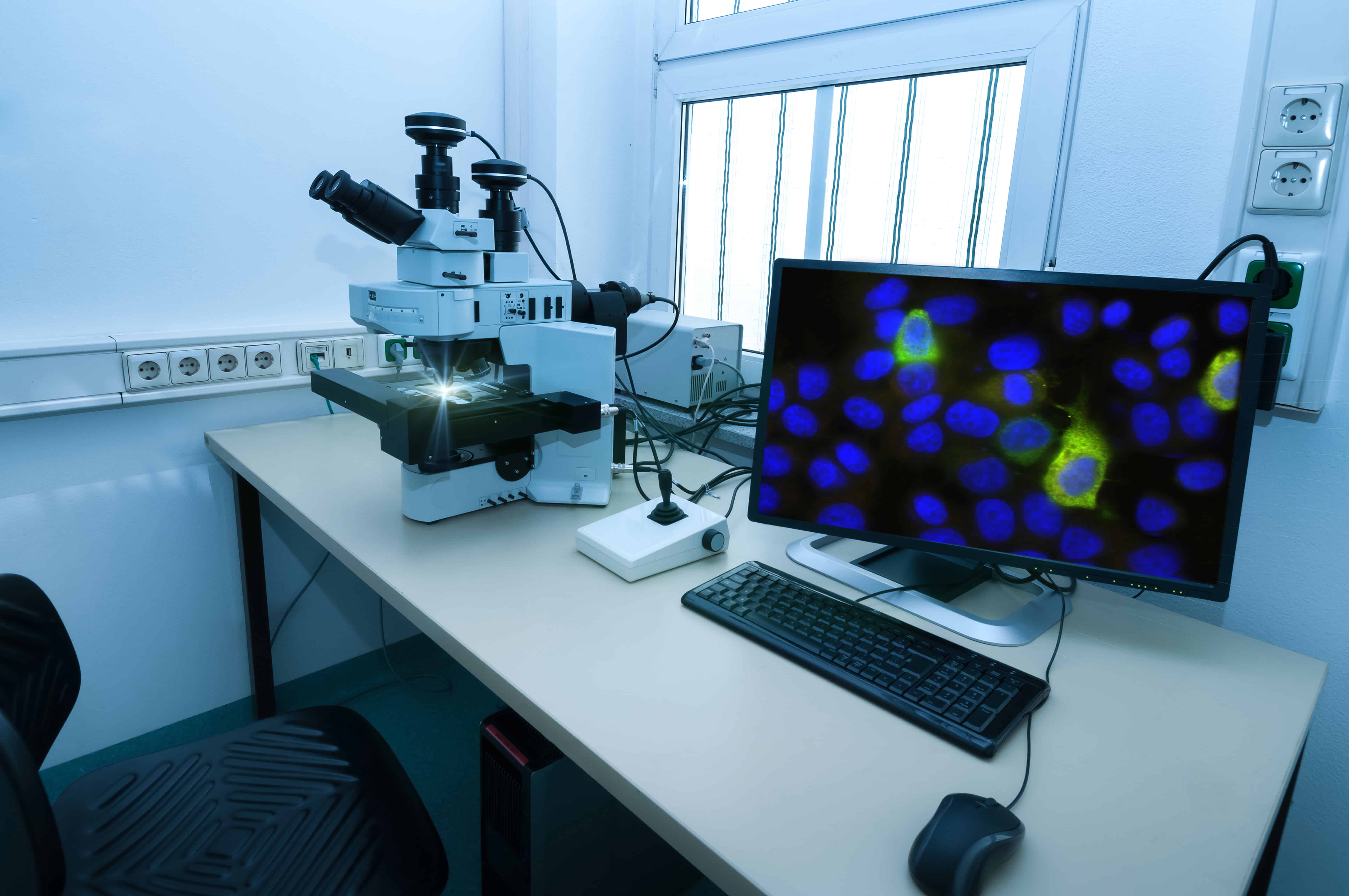 Microscope setup in lab