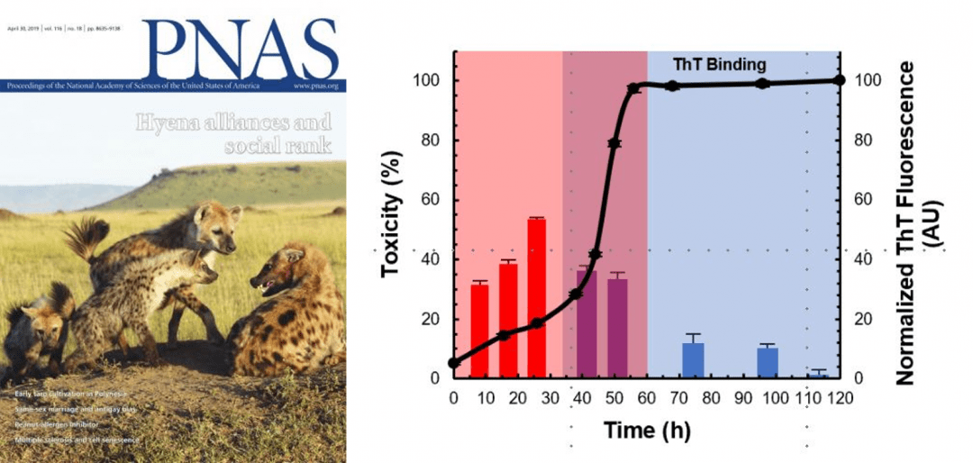 Dylan Shea's work in PNAS