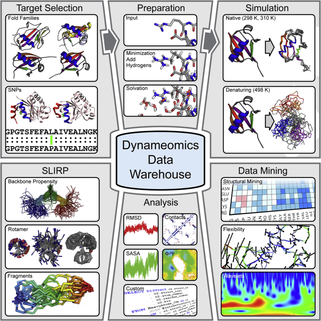 Dynameomics Data Warehouse