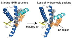 Loss of HPB Core Packing