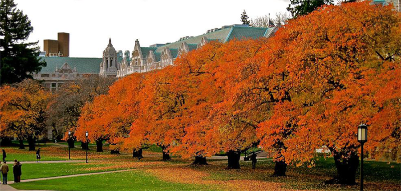 UW quad in the fall