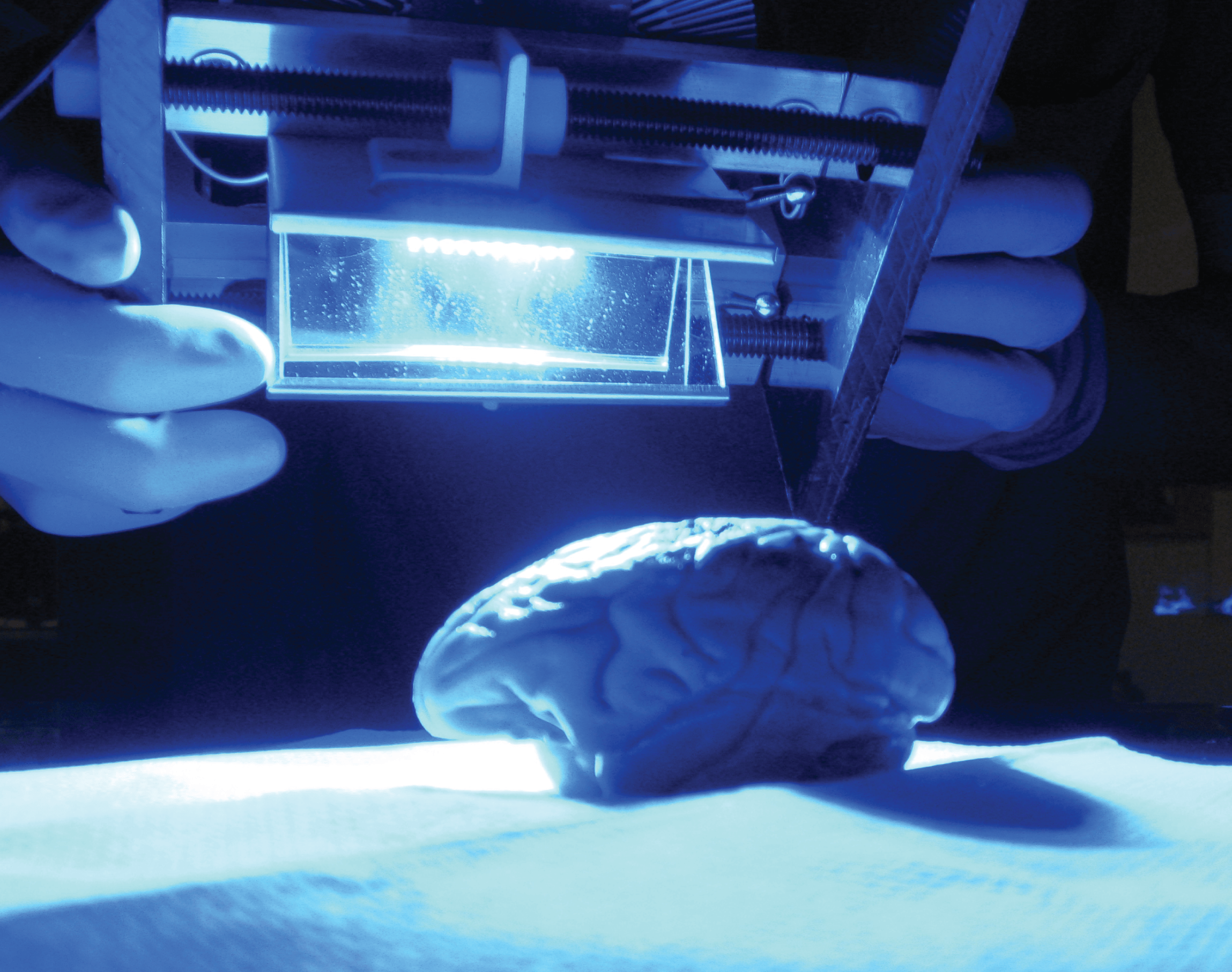 Illuminating the brain