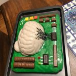 Yazdan NERD lab brain cake